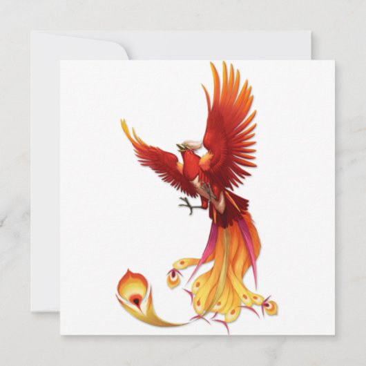 サン·フェニックス 招待状 (裏面)