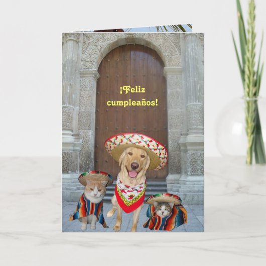 サン・フェリズ・クンプレーニョス! カード (正面)