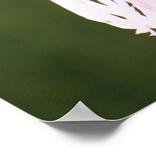 サン・フランシス・ポスター祈りの言葉 ポスター (角)