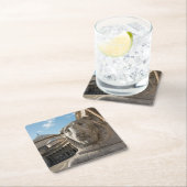 サン·フランチェスコ·ディ·パオラの前のライオン像 スクエアペーパーコースター (インサイチュ)