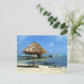 サン・ペドロ, ベリーズのポストカード ポストカード (スタンド正面)