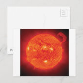 サン ポストカード (正面/裏面)