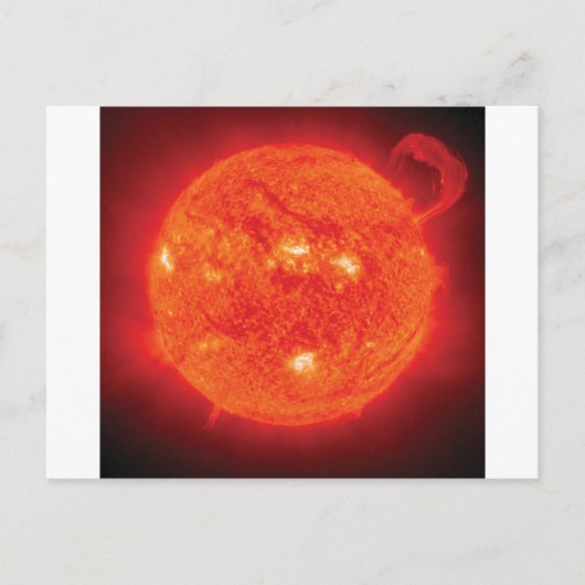 サン ポストカード (正面)