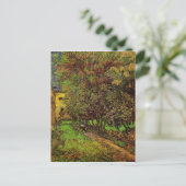 サン・ポール病院のガーデン・オブ・ヴァン・ゴッホ ポストカード (スタンド正面)