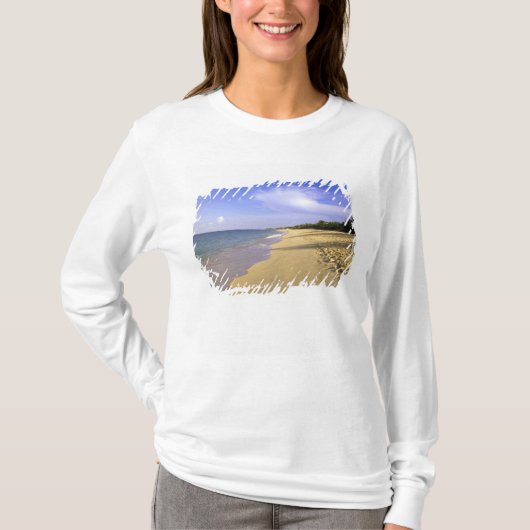 サン・マルタン島のベイ・ロング・ビーチ Tシャツ (正面)