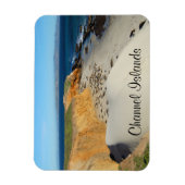 サン・ミゲル島、チャネル諸島 マグネット (縦)