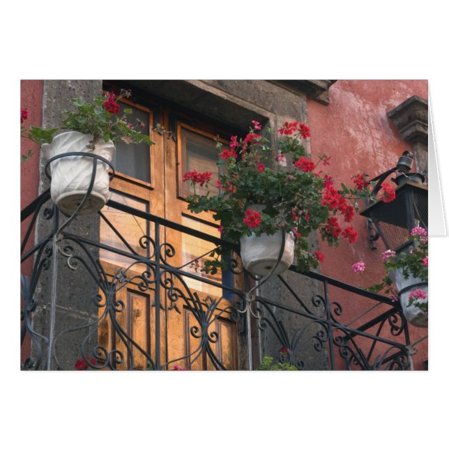 サン·ミゲル·デの通り上のアーキテクチャ (正面横)