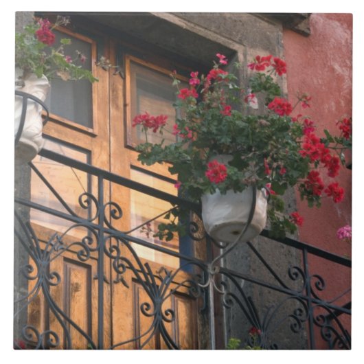 サン·ミゲル·デの通り上のアーキテクチャ タイル (正面)