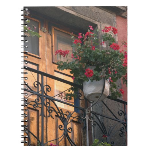 サン·ミゲル·デの通り上のアーキテクチャ ノートブック (正面)