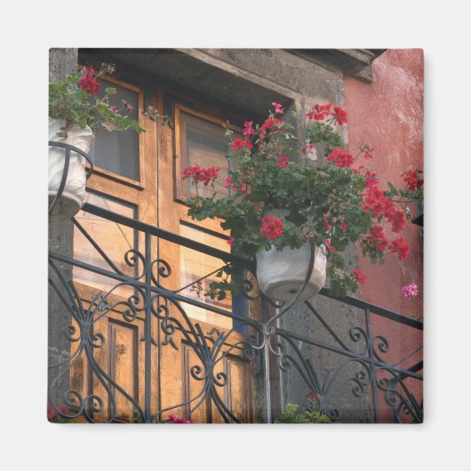 サン・ミゲル・デ通りの建築 マグネット (正面)