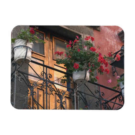 サン・ミゲル・デ通りの建築 マグネット (横)