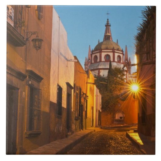 サン·ミゲル·デ·アレンデ(メキシコ)。クレジット:ナンシー タイル (正面)