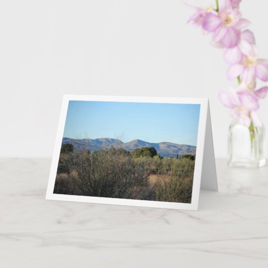 サン·ミゲル、リリア、バレンシア、スペイン カード (蘭)