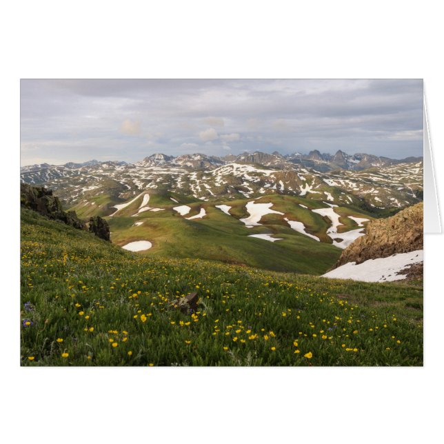 サンJuansの夏 (正面横)