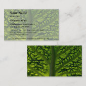 サヴォイキャベツ葉 名刺 (正面/裏面)