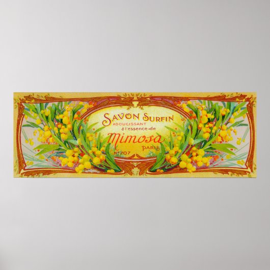 サヴォンサーフィンソープラベルパリ,フランス ポスター (正面)