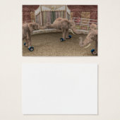 サーカスおもしろい象 (正面&裏面)