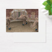 サーカスおもしろい象 (デスク)