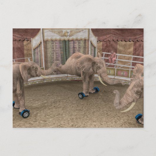サーカスおもしろい象 ポストカード (正面)