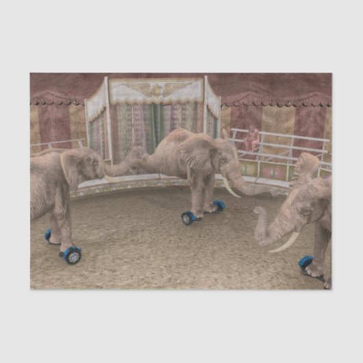 サーカスおもしろい象 薄葉紙 (正面)