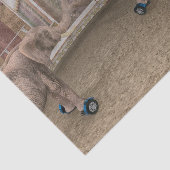 サーカスおもしろい象 薄葉紙 (詳細)