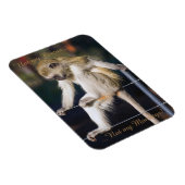 サーカスじゃなくてモンキーマグネットじゃなくて マグネット (右側)