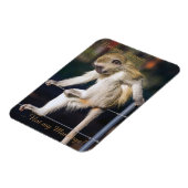 サーカスじゃなくてモンキーマグネットじゃなくて マグネット (左側)