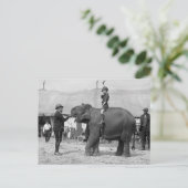 サーカスのテディ・ルーズベルト: 1924年 ポストカード (スタンド正面)