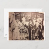 サーカスのパフォーマーと白馬 ポストカード (正面/裏面)