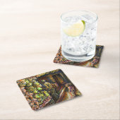 サーカスの北 スクエアペーパーコースター (インサイチュ)