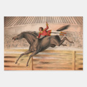 サーカスの馬と飛んでいる柵の上にダレデビル ラッピングペーパーシート (正面)