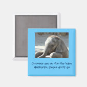 サーカスはゾウのおもしろいではない マグネット (正面/裏面)