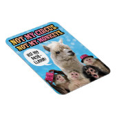 サーカスもサルもプロブラマも マグネット (右側)