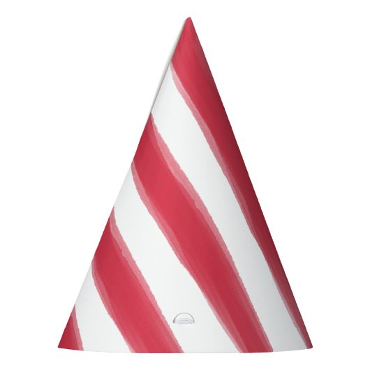 サーカスウォーター色誕生日かわいい動物 パーティーハット