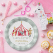 サーカスウォーター色誕生日かわいい動物 ペーパープレート (パーティー)