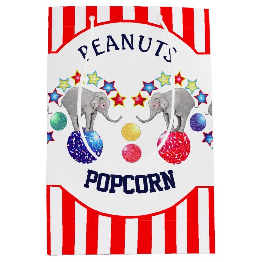 サーカステーマエレファントバースデーパーティー ミディアムペーパーバッグ (正面)