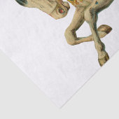 サーカスホースアクロバットダンサー回転木馬ウズダンス 薄葉紙 (詳細)