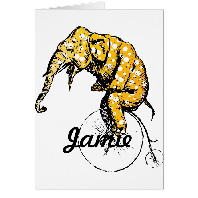 サーカス象ギフト (正面)