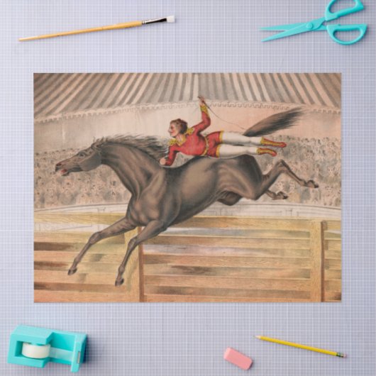 サーカス馬とデアデビ飛んでいるルが垣根を越えて 薄葉紙 (クラフト)