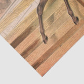 サーカス馬とデアデビ飛んでいるルが垣根を越えて 薄葉紙 (詳細)