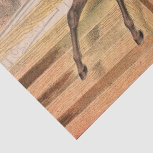 サーカス馬とデアデビ飛んでいるルが垣根を越えて 薄葉紙 (詳細)