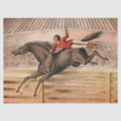 サーカス馬とデアデビ飛んでいるルが垣根を越えて 薄葉紙 (正面)