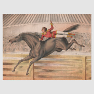 サーカス馬とデアデビ飛んでいるルが垣根を越えて 薄葉紙