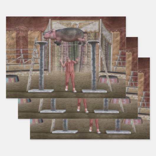 サーカス・ヒッポ・バランシング ラッピングペーパーシート (セット)