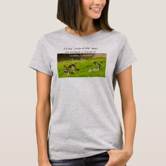 サークル・オブ・ライフ・カンブリア Tシャツ