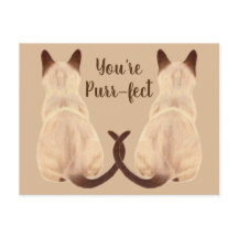 サーシャシャシャム猫好きバックビューあなたは目的