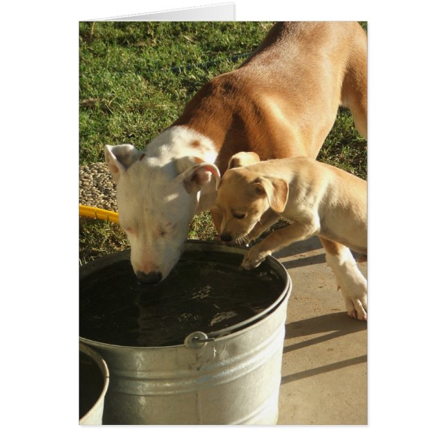 サーシャ&ルイエ (正面)