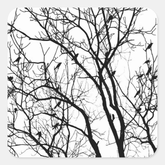 サーセクラマーによる鳥のシルエット スクエアシール (正面)