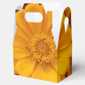 サータン フェイバーボックス (オープン)