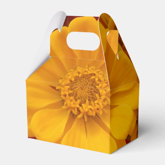 サータン フェイバーボックス (正面サイド)